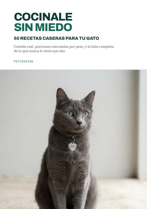 Tapa del libro del gato